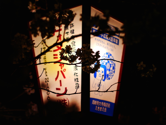 岡崎　夜桜　灯籠