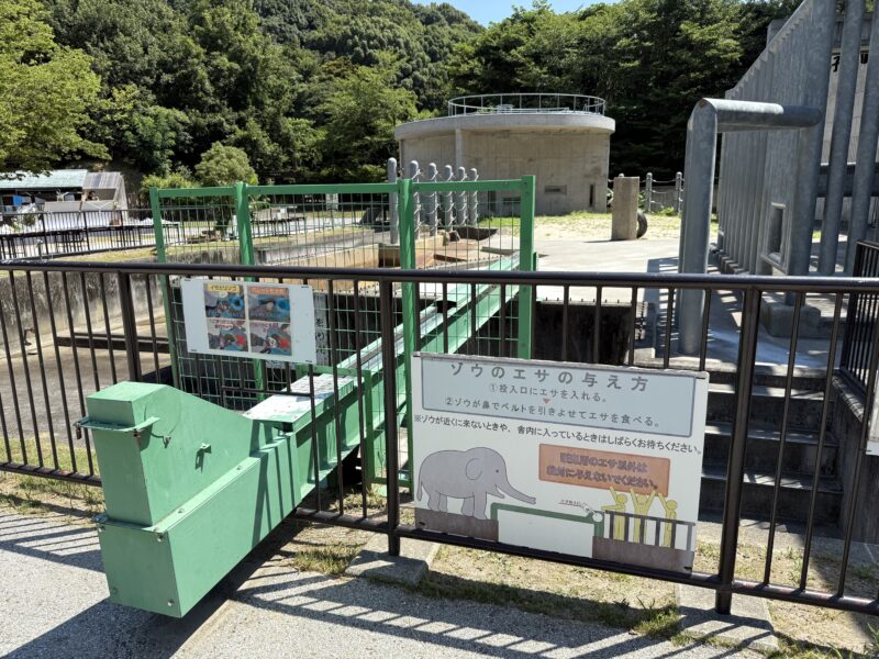 ふじ子　餌やり　ベルトコンベアー