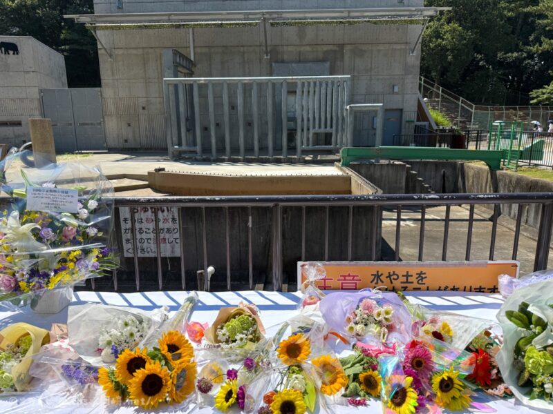 東公園　ふじ子　献花台
