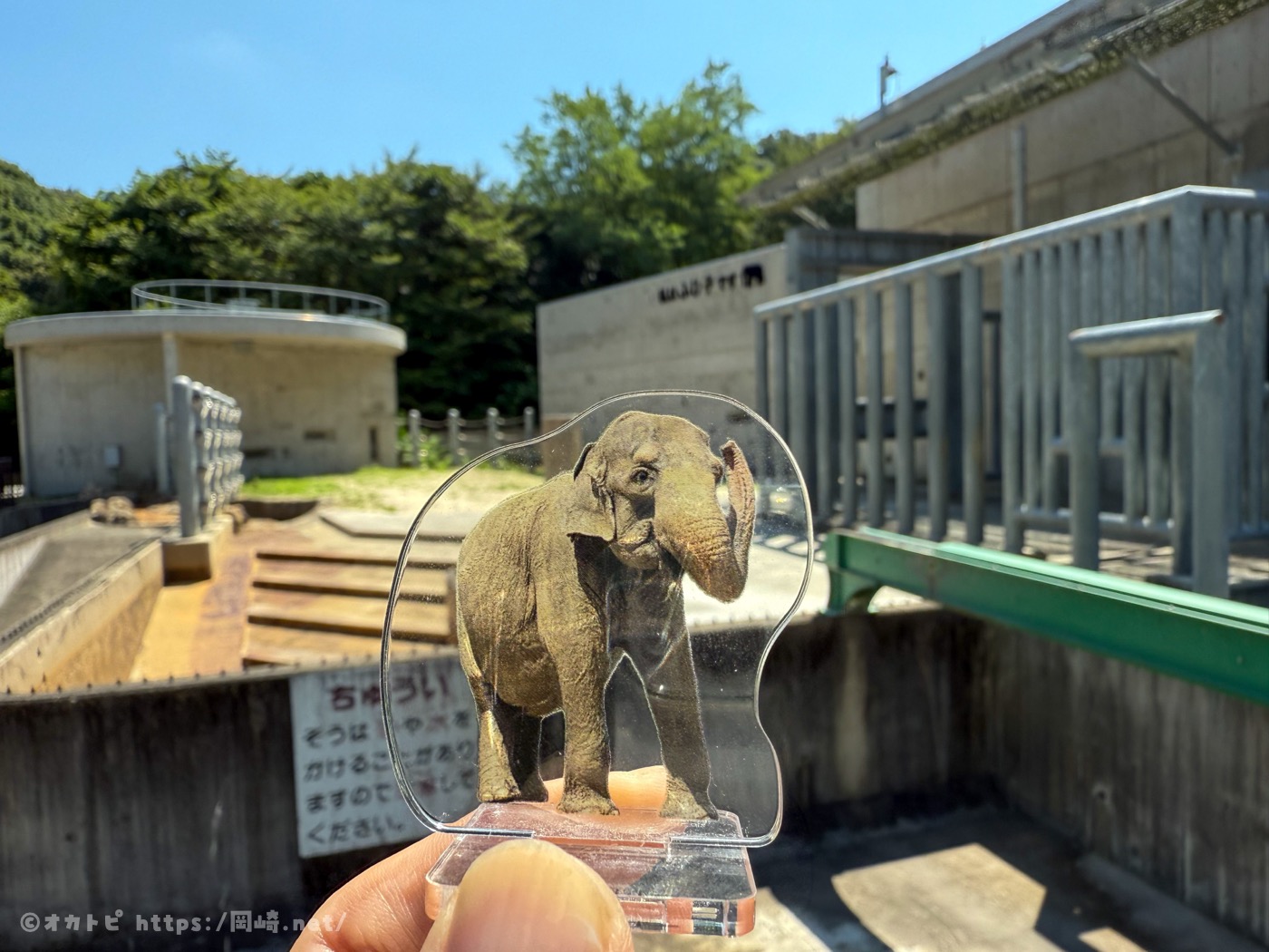 東公園　ふじ子　献花